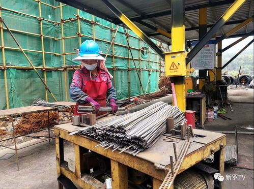 福建鑫鷺鎢制品深加工項目 防疫復工雙管齊下，建筑勞務分包助力建設有序推進